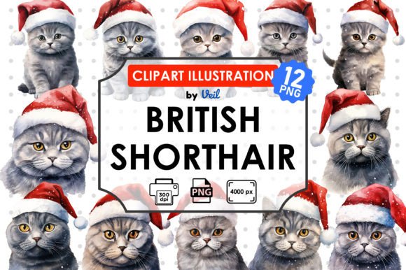 Christmas British Shorthair Bundle: Festive Illustrations