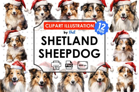 Christmas Shetland Sheepdog Clipart & Illustrations